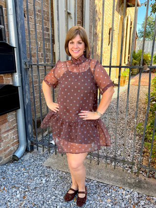 Polka Dot Sheer Overlay Ruffle Dress