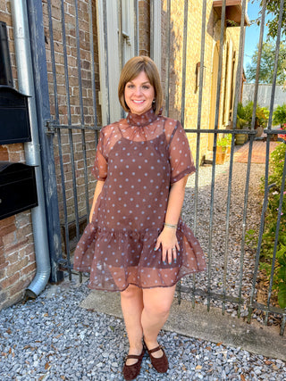 Polka Dot Sheer Overlay Ruffle Dress
