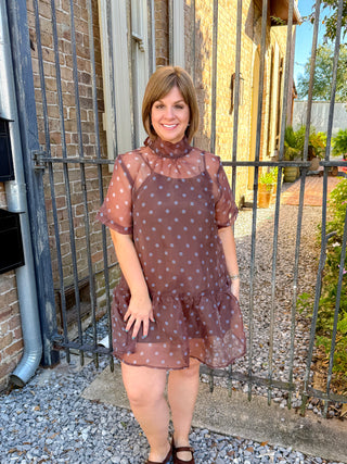 Polka Dot Sheer Overlay Ruffle Dress