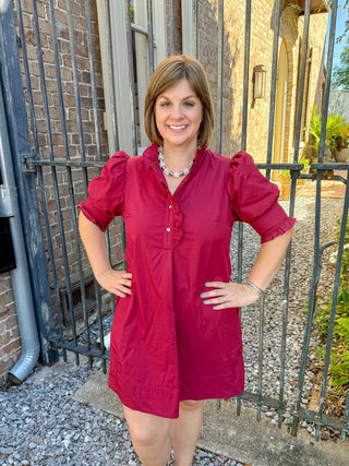 Burgundy Ruffle Trim Puff Sleeve Dress