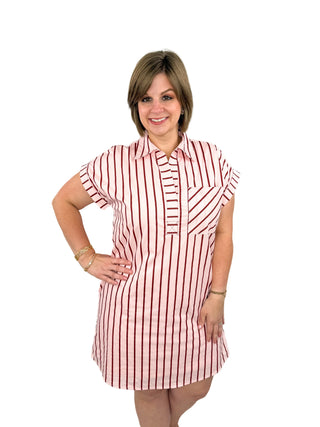Pink Stripe Collared Shift Dress - SLS Wares