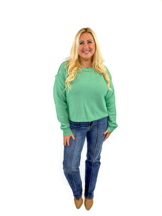 Judy Blue Front Seam Straight Jeans Try On Video - SLS Wares